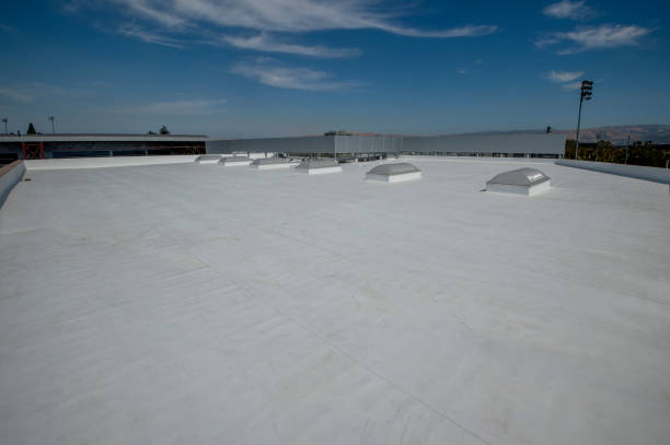 Best Cold Roofs  in Mahomet, IL